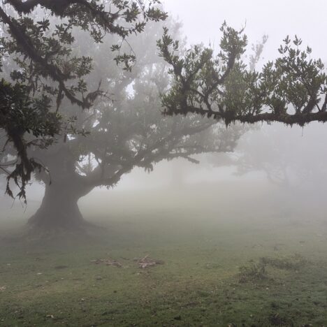 Zbogom bočicama od 100 ml: uskoro ćemo moći nositi do 2 litre tečnosti u ručnom prtljagu!